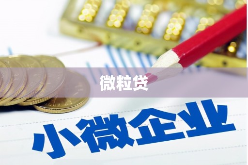 越城微粒贷