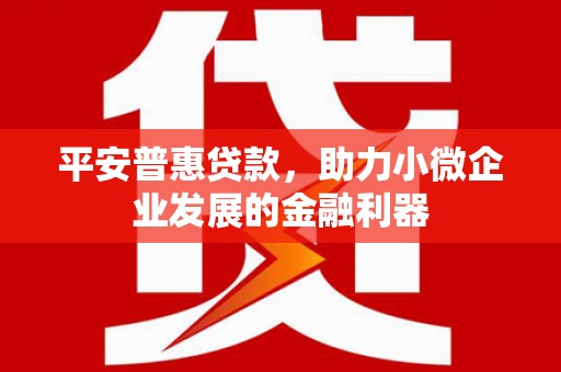越城平安普惠贷款，助力小微企业发展的金融利器