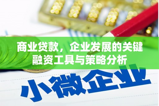 越城商业贷款，企业发展的关键融资工具与策略分析