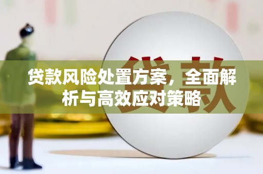 越城贷款风险处置方案，全面解析与高效应对策略