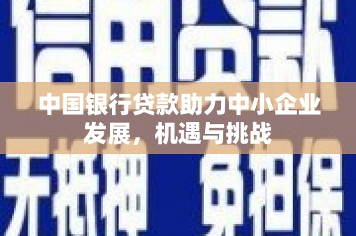 越城中国银行贷款助力中小企业发展，机遇与挑战