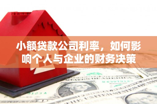 越城小额贷款公司利率，如何影响个人与企业的财务决策