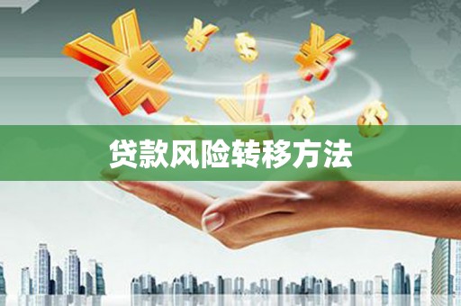 越城贷款风险转移方法