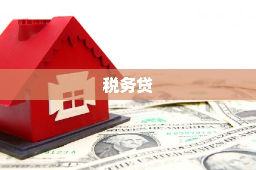 越城税务贷