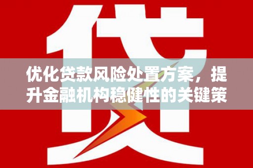 越城优化贷款风险处置方案，提升金融机构稳健性的关键策略