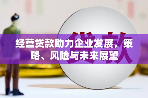 越城经营贷款助力企业发展，策略、风险与未来展望