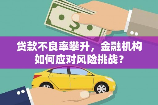 越城贷款不良率攀升，金融机构如何应对风险挑战？