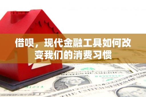 越城借呗，现代金融工具如何改变我们的消费习惯