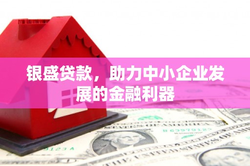 越城银盛贷款，助力中小企业发展的金融利器