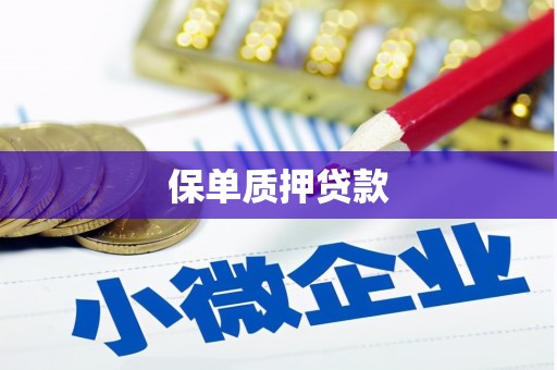 越城保单质押贷款