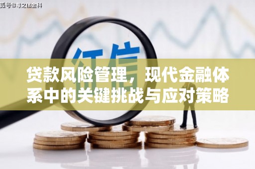 越城贷款风险管理，现代金融体系中的关键挑战与应对策略