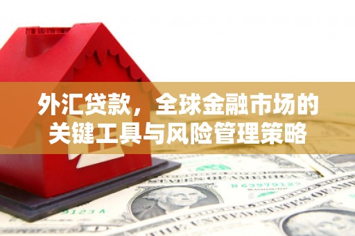 越城外汇贷款，全球金融市场的关键工具与风险管理策略