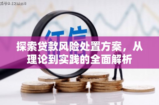 越城探索贷款风险处置方案，从理论到实践的全面解析