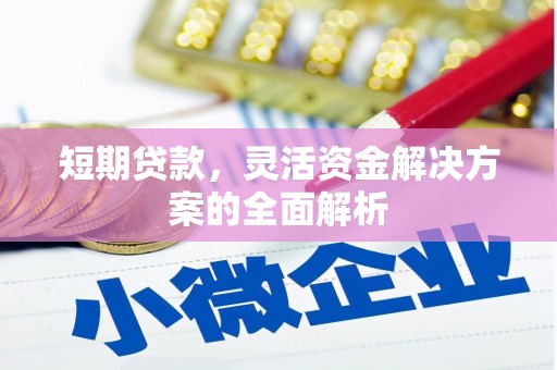 越城短期贷款，灵活资金解决方案的全面解析