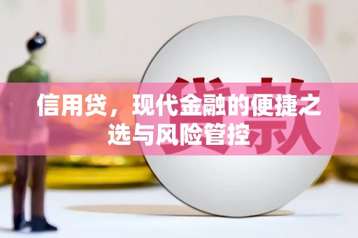 越城信用贷，现代金融的便捷之选与风险管控