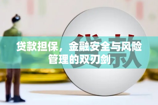 越城贷款担保，金融安全与风险管理的双刃剑