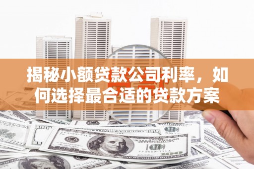 越城揭秘小额贷款公司利率，如何选择最合适的贷款方案