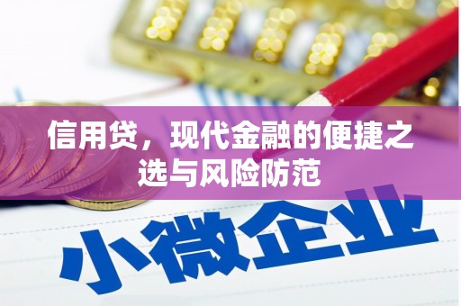 越城信用贷，现代金融的便捷之选与风险防范