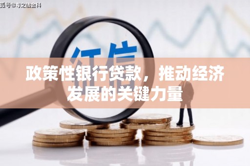 越城政策性银行贷款，推动经济发展的关键力量