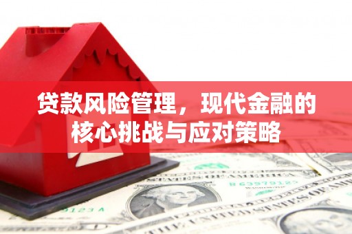 越城贷款风险管理，现代金融的核心挑战与应对策略