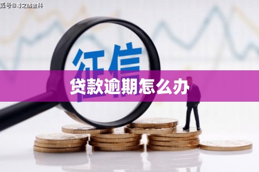 越城贷款逾期怎么办