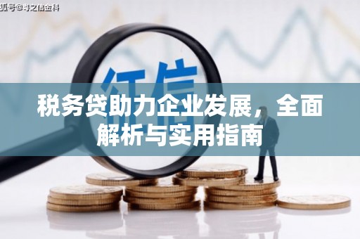 越城税务贷助力企业发展，全面解析与实用指南