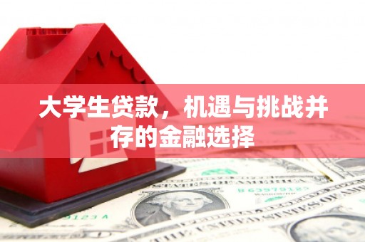 越城大学生贷款，机遇与挑战并存的金融选择