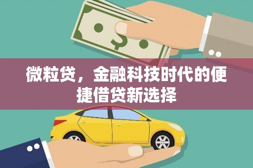 越城微粒贷，金融科技时代的便捷借贷新选择