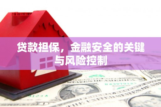 越城贷款担保，金融安全的关键与风险控制