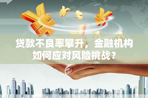 越城贷款不良率攀升，金融机构如何应对风险挑战？