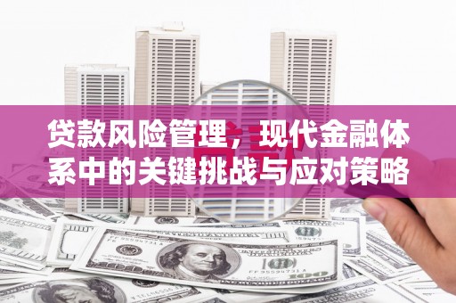 越城贷款风险管理，现代金融体系中的关键挑战与应对策略