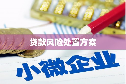 越城贷款风险处置方案