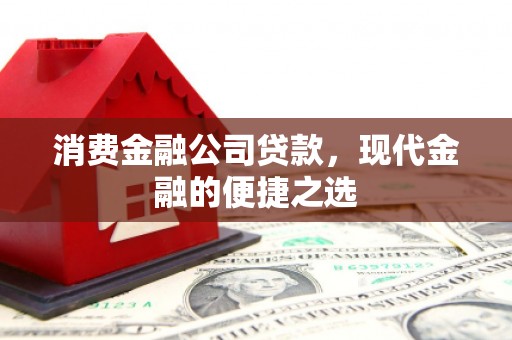越城消费金融公司贷款，现代金融的便捷之选