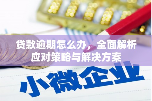 越城贷款逾期怎么办，全面解析应对策略与解决方案
