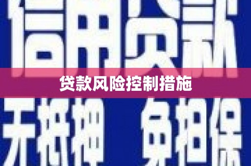 越城贷款风险控制措施