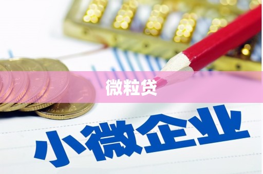越城微粒贷