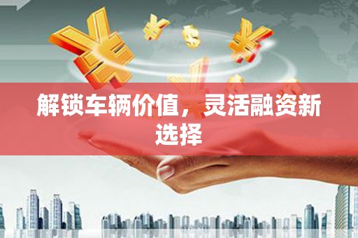越城解锁车辆价值，灵活融资新选择