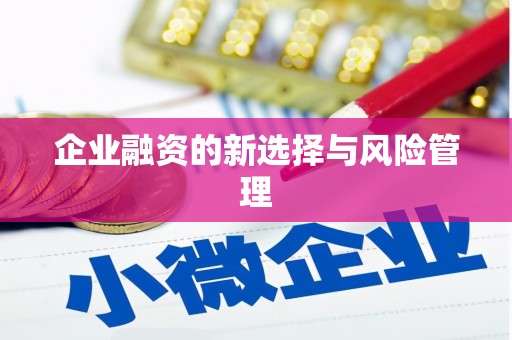 越城企业融资的新选择与风险管理