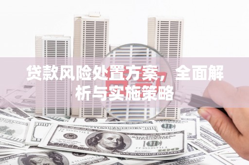 越城贷款风险处置方案，全面解析与实施策略