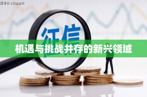 越城机遇与挑战并存的新兴领域