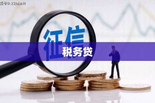 越城税务贷
