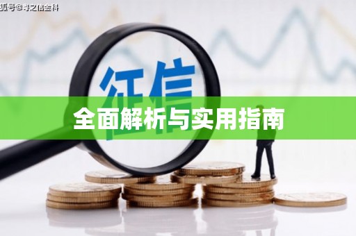 越城全面解析与实用指南