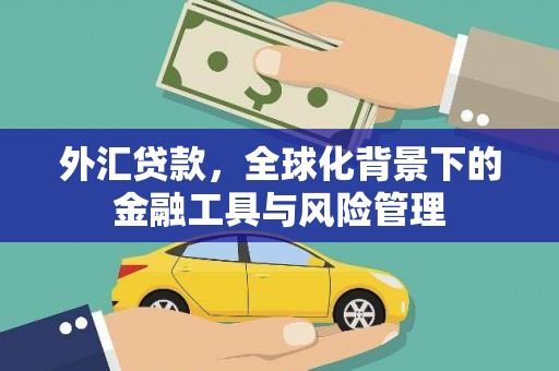 越城外汇贷款，全球化背景下的金融工具与风险管理