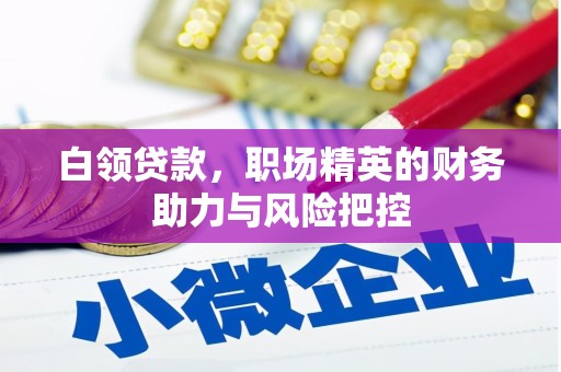越城白领贷款，职场精英的财务助力与风险把控