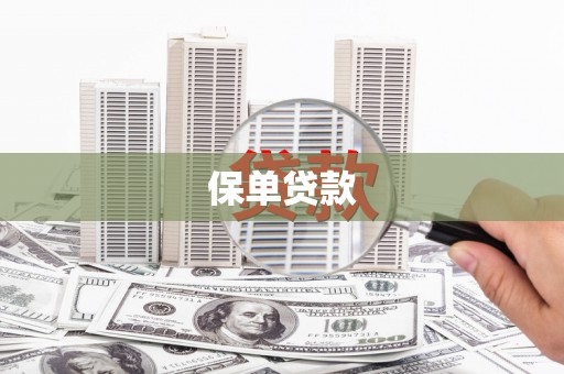 越城保单贷款